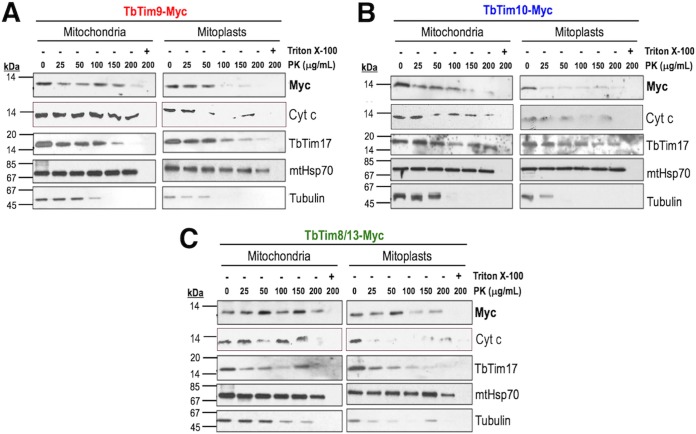 FIG 3 