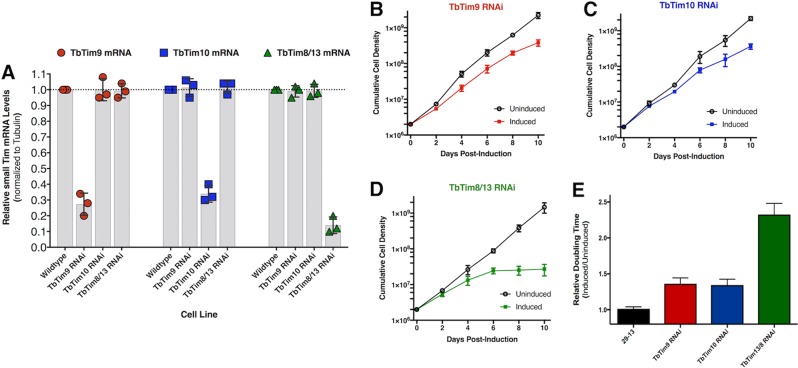 FIG 6 