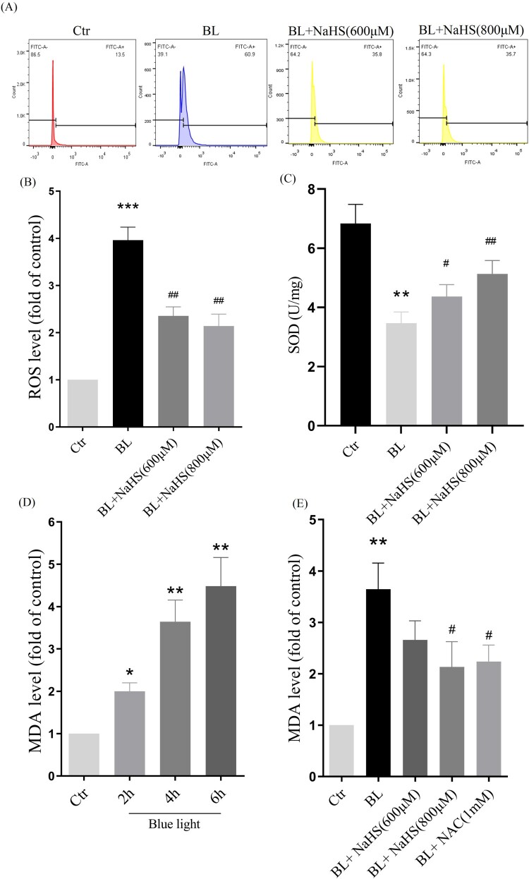 Figure 3.