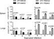 Figure 4—figure supplement 1.