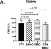 Figure 5—figure supplement 1.