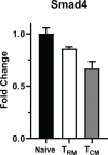 Figure 2—figure supplement 1.