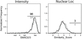 Figure 2—figure supplement 2.