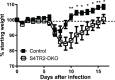 Figure 1—figure supplement 3.