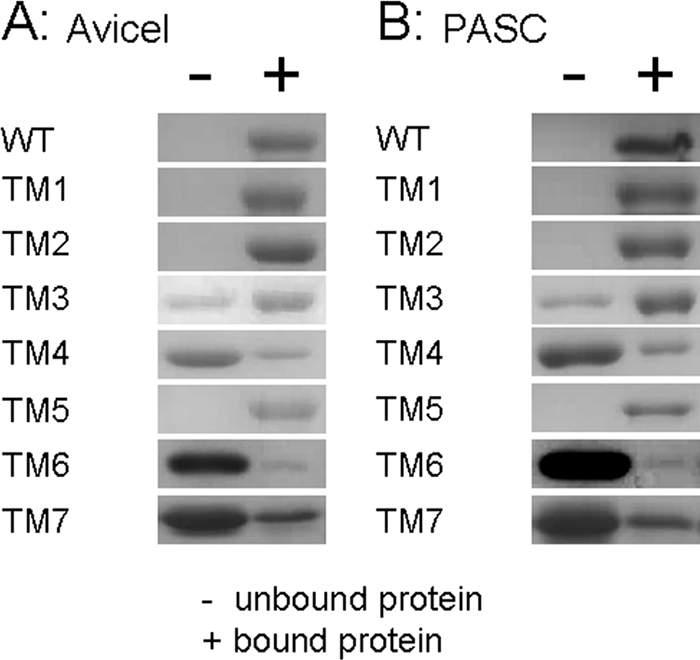 Fig 4