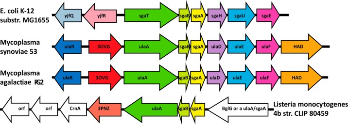 Figure 4