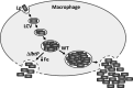 FIG 7