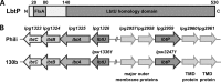 FIG 2