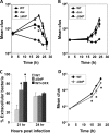 FIG 6