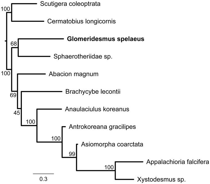 Figure 1.