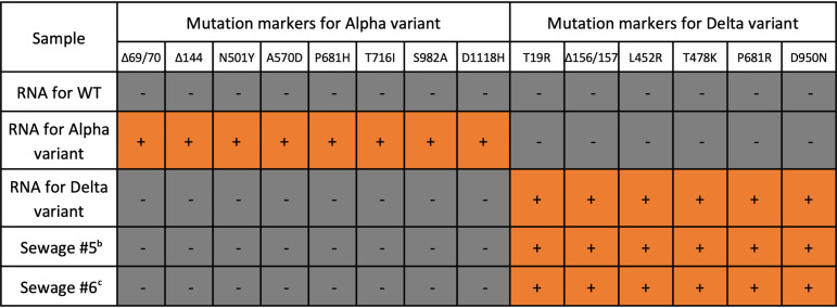 graphic file with name aem.02289-21-f008.jpg