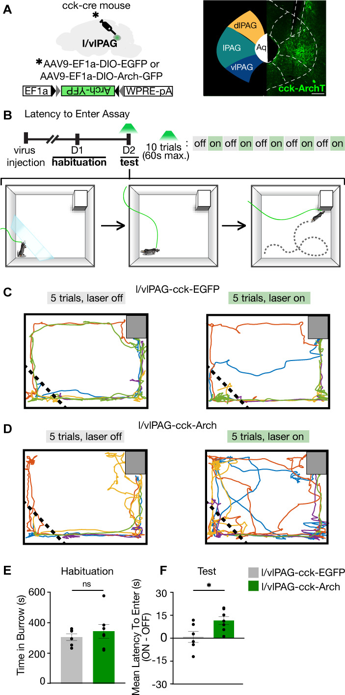 Figure 5.