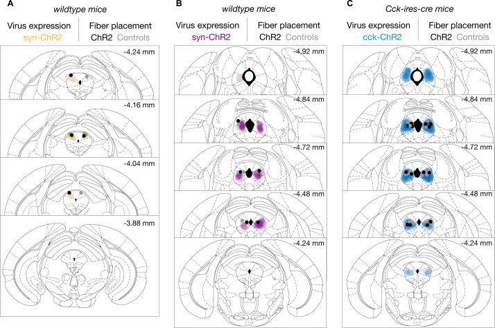 Figure 2—figure supplement 1.