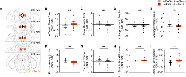 Figure 7—figure supplement 1.