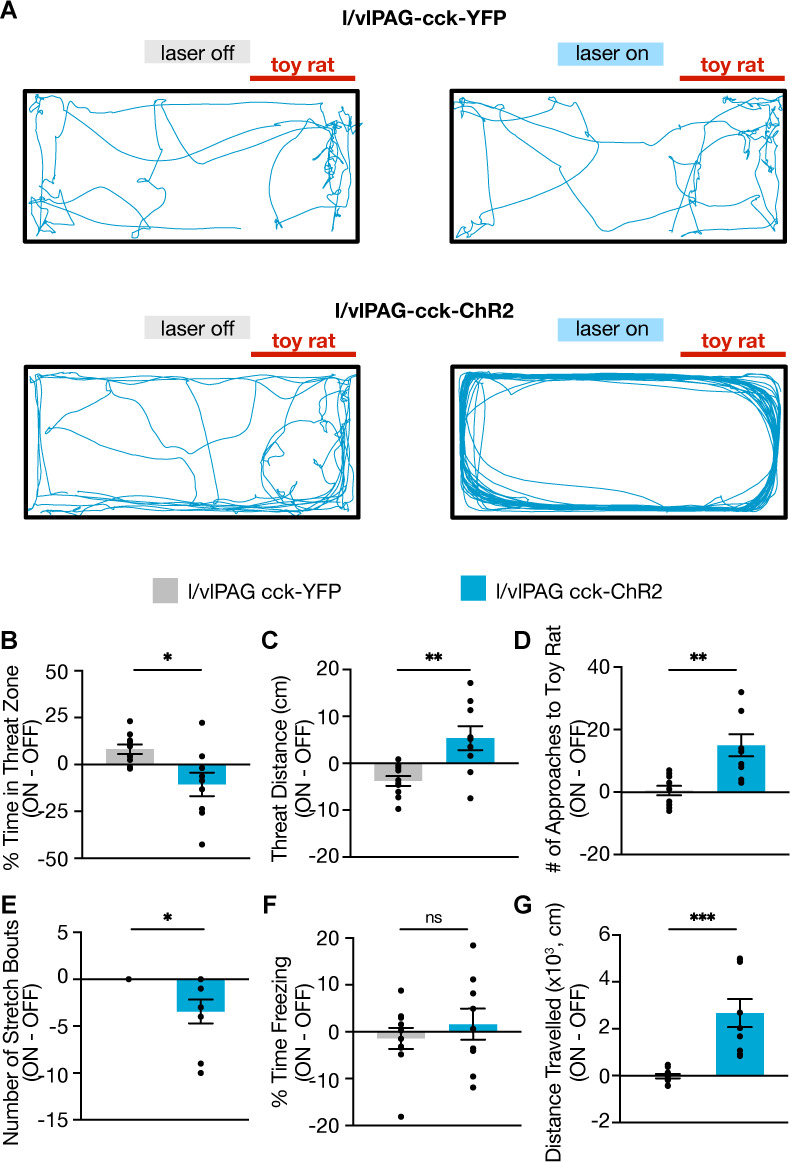 Figure 6—figure supplement 1.