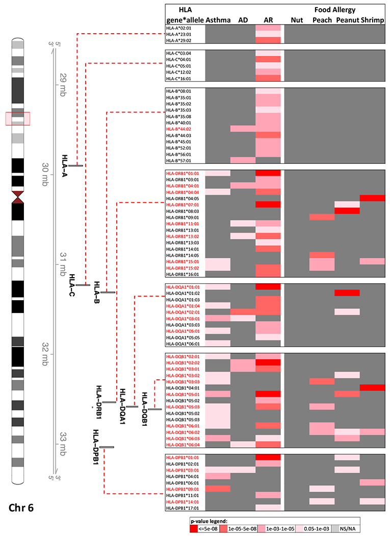 Fig 2: