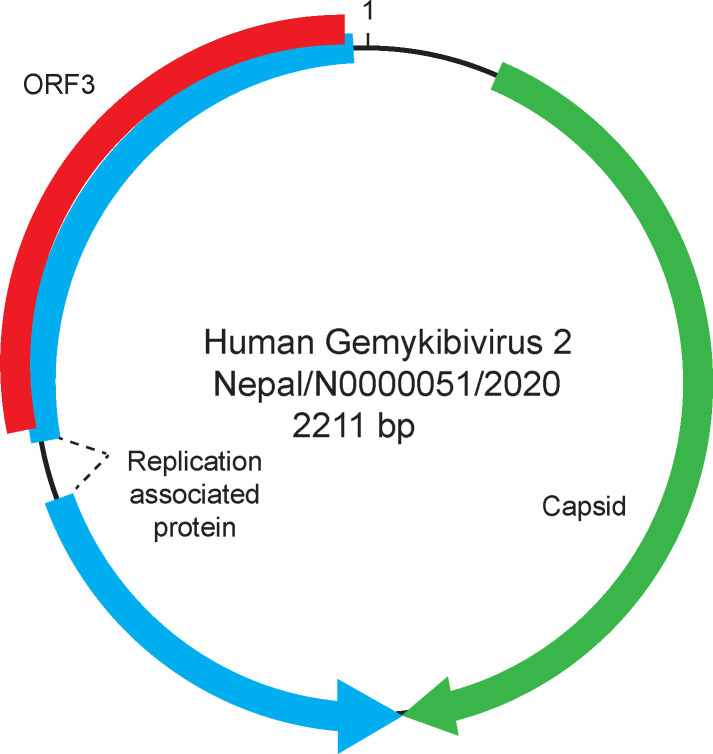 Figure 2.