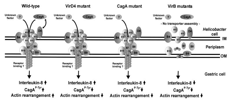 FIG. 4.