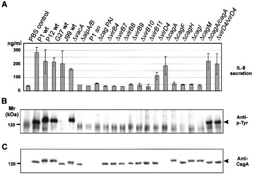 FIG. 2.