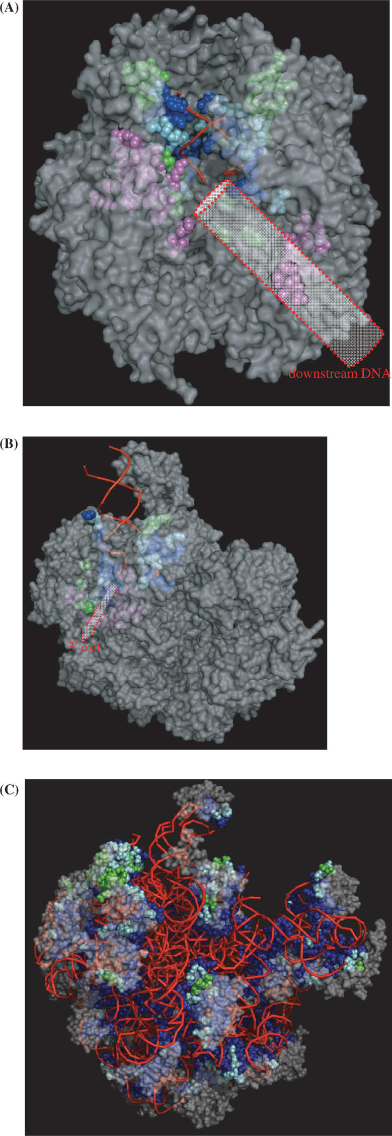 Figure 6.