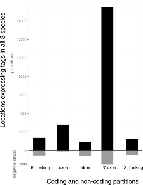 FIG. 3.—