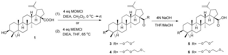 Scheme 1