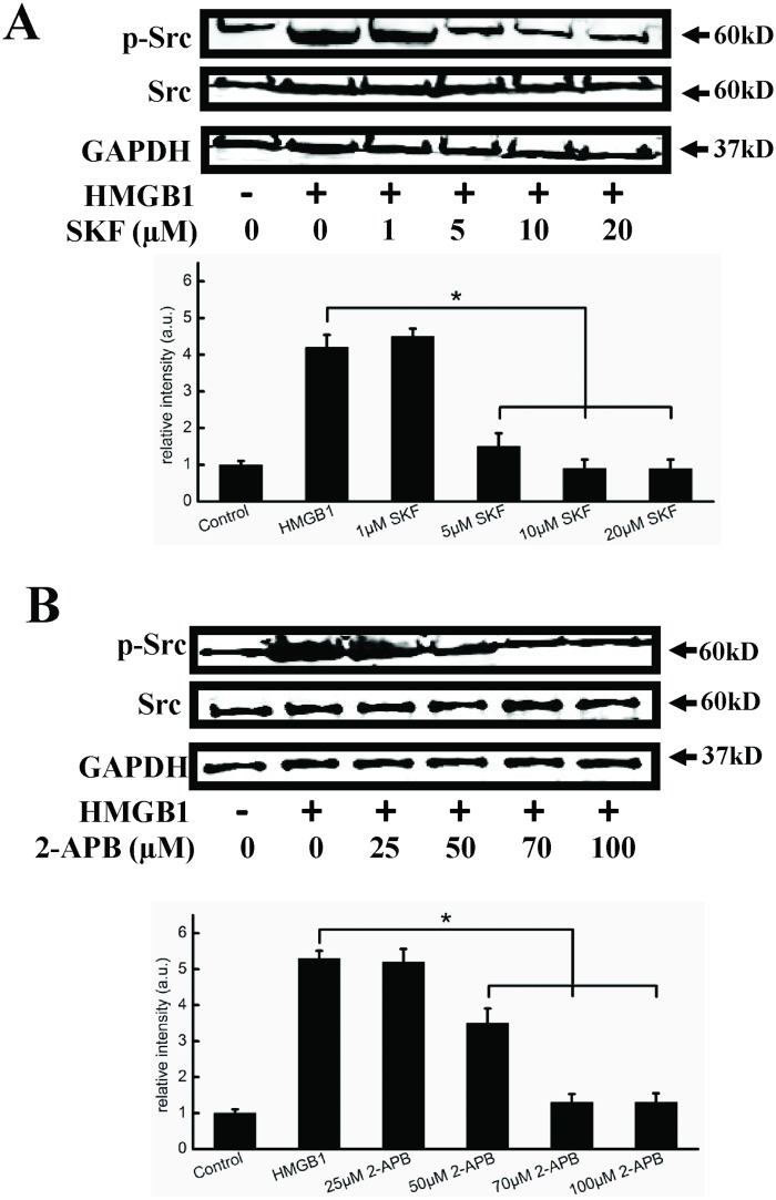 Fig 5