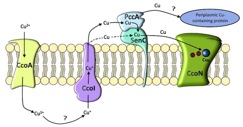 Figure 9