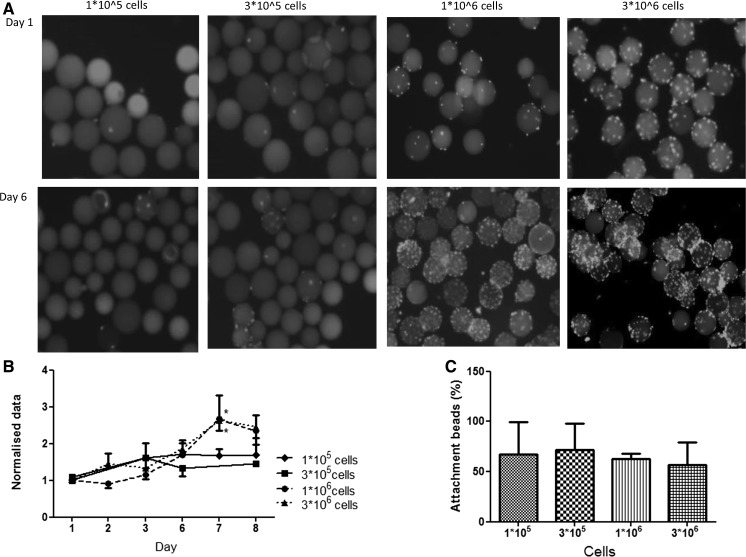 Fig. 2