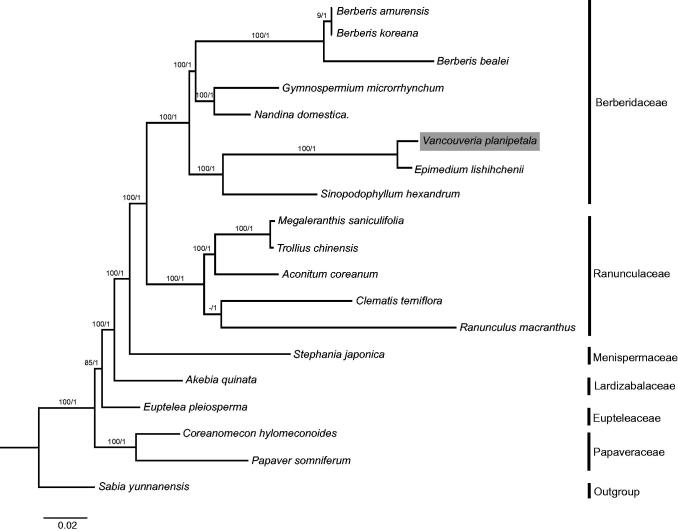 Figure 1.