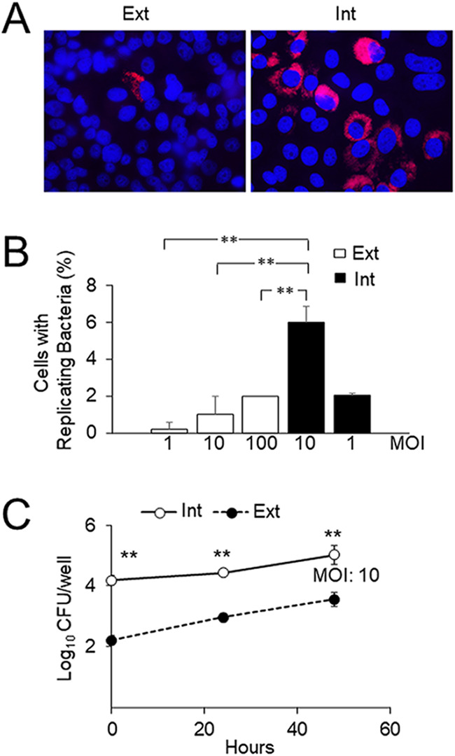 FIG 1