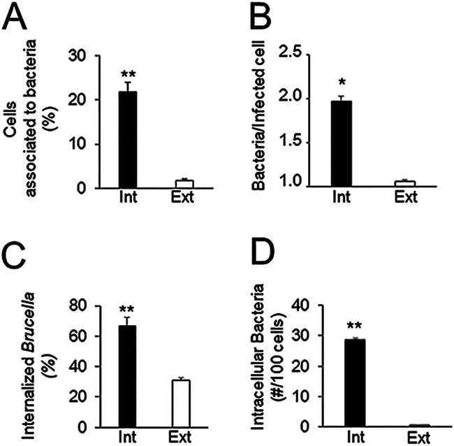 FIG 2