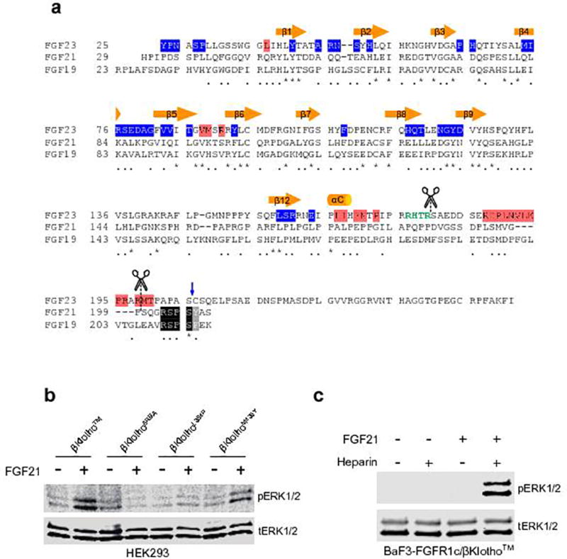 Extended Data Figure 10