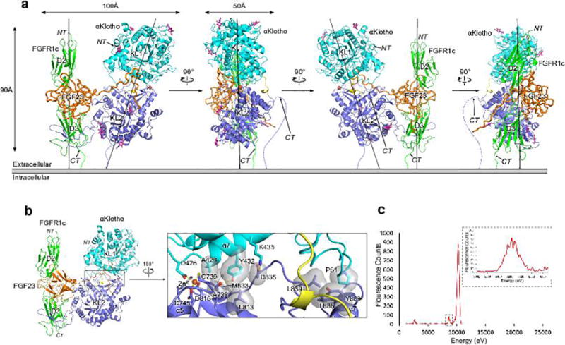 Extended Data Figure 2