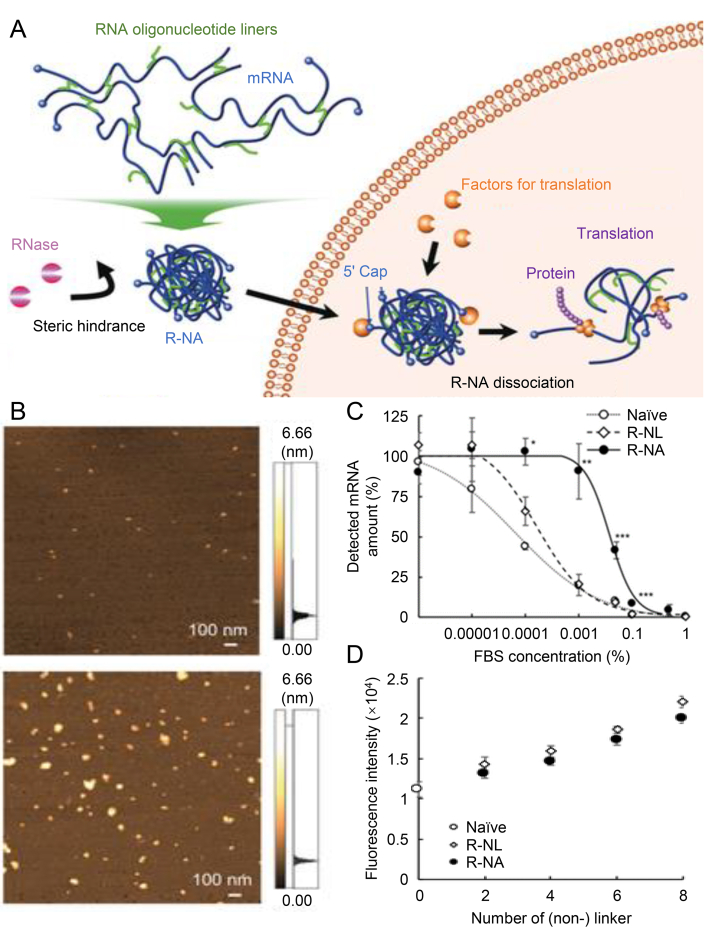 Figure 10