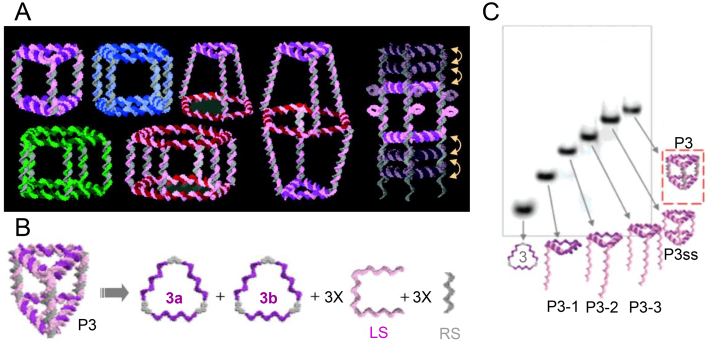 Figure 3