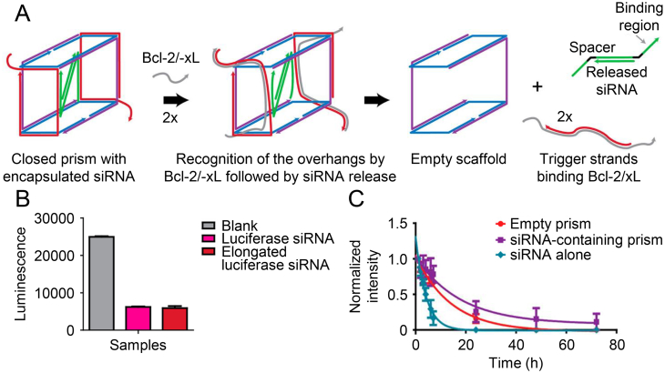 Figure 7