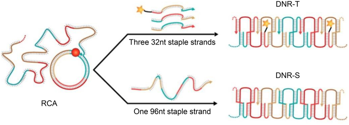 Figure 4