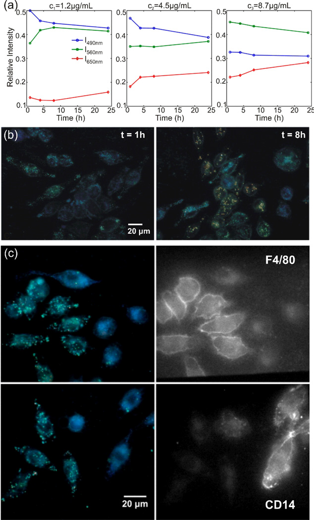 Figure 12