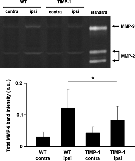 FIG. 4.