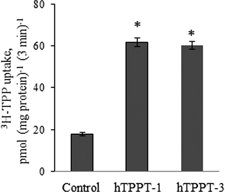 FIGURE 10.