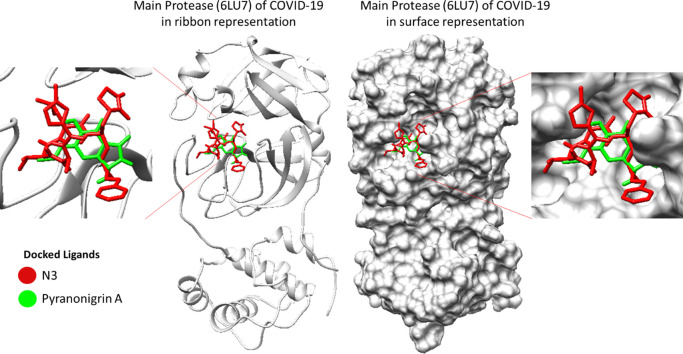 Unlabelled Image