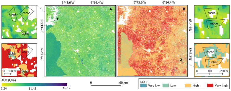 Figure 11