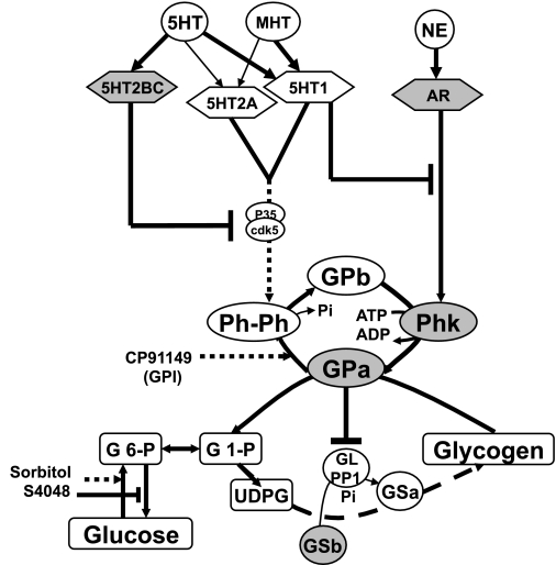 FIG. 8.