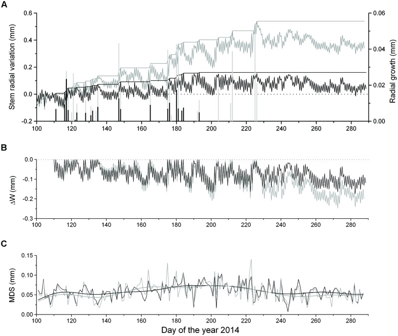 FIGURE 3