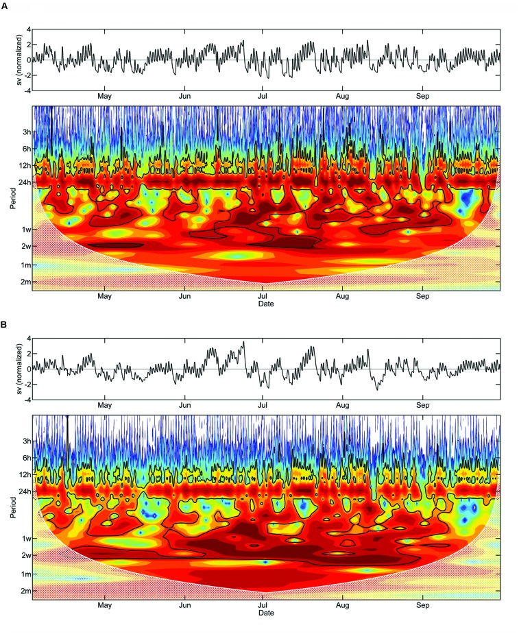 FIGURE 6