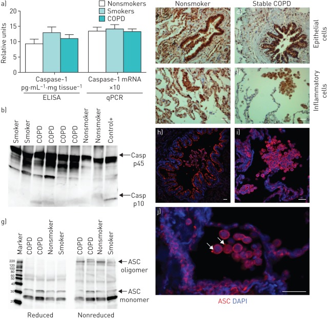 FIGURE 3