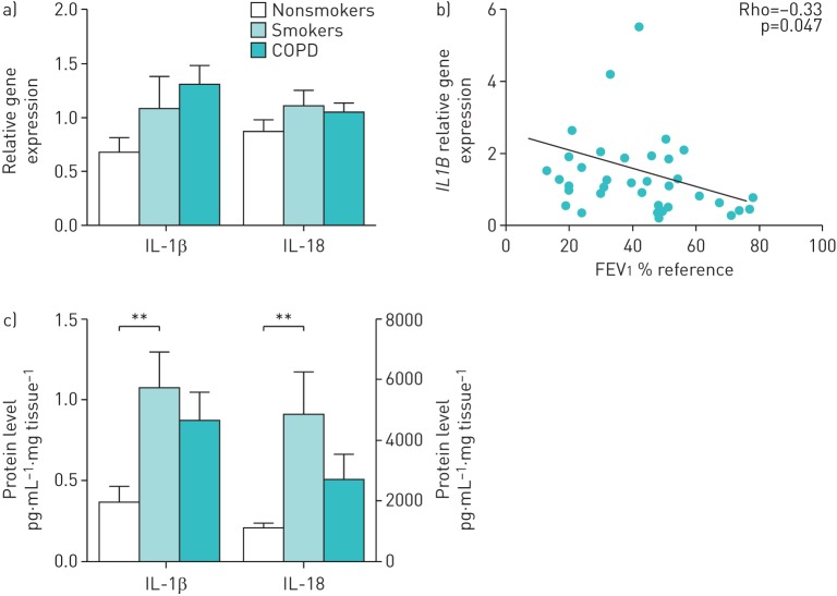 FIGURE 2