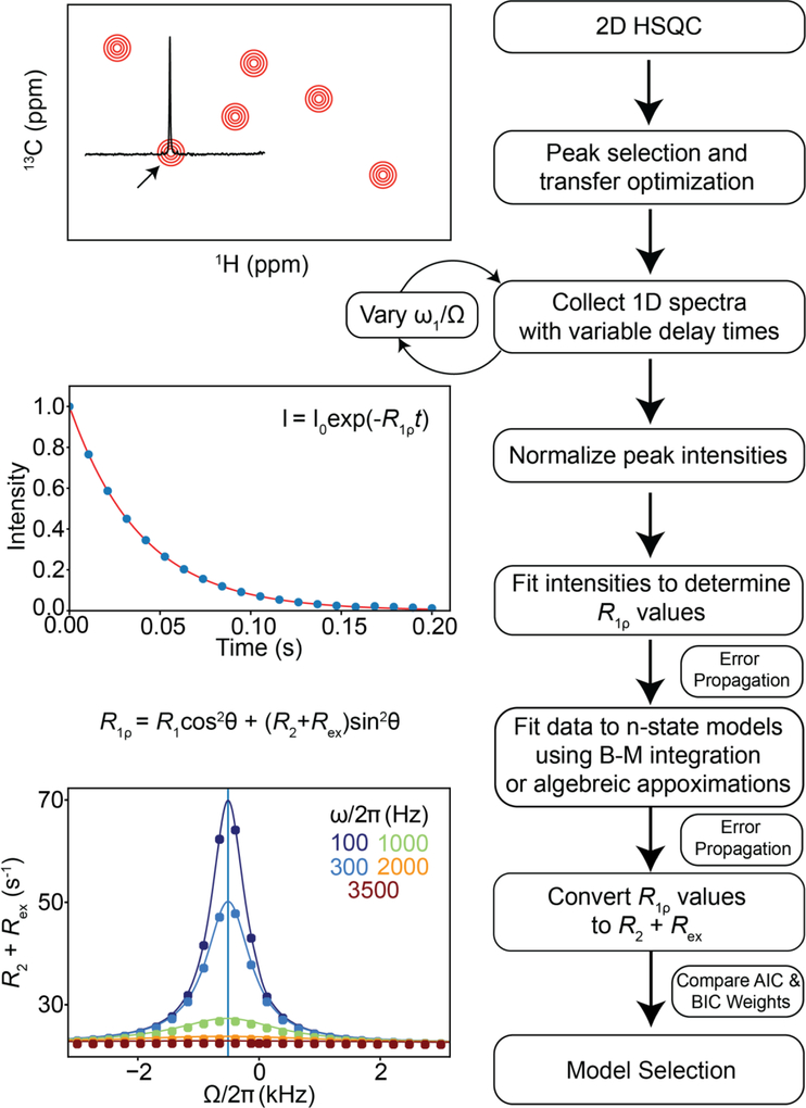 Figure 29.