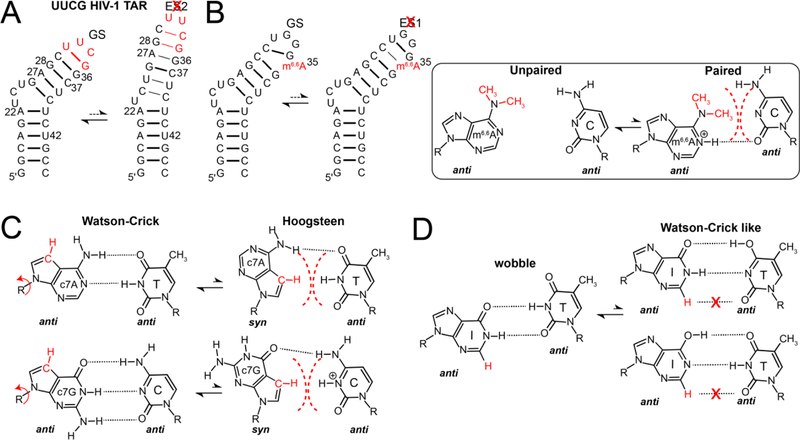 Figure 36.